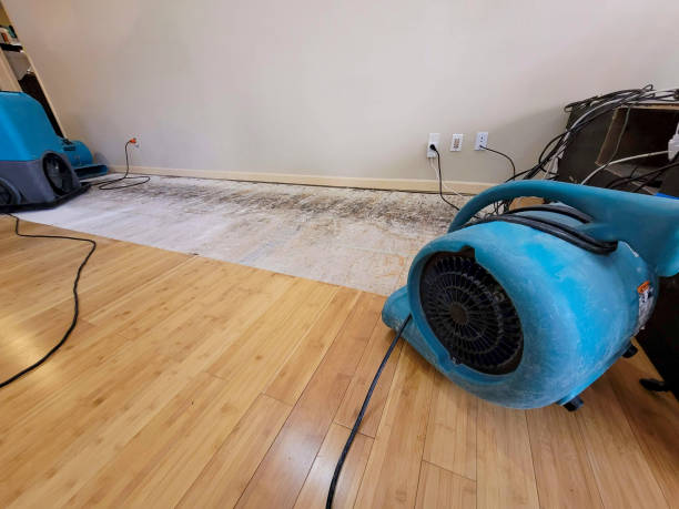 Professional Water Removal technician working in Milford, MA